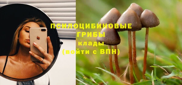 2c-b Абинск
